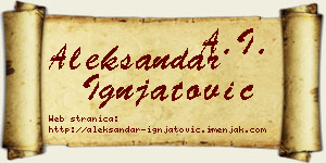 Aleksandar Ignjatović vizit kartica
